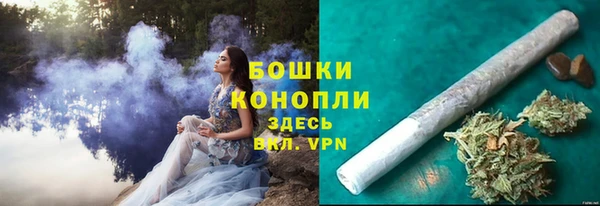 крисы Горнозаводск