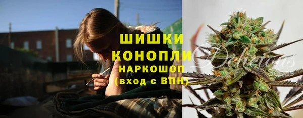 крисы Горнозаводск